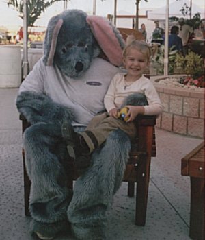 Redwood Swings & Things